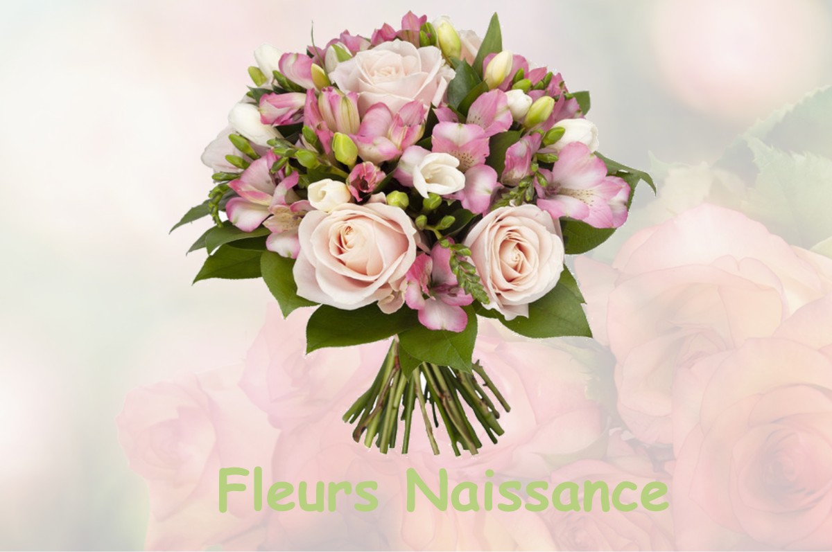 fleurs naissance SAINT-PIERRE-DE-BRESSIEUX