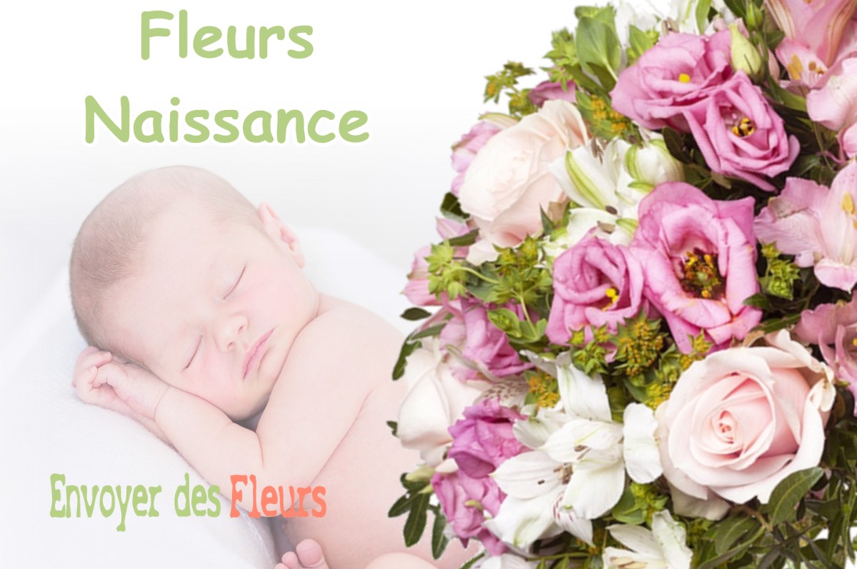 lIVRAISON FLEURS NAISSANCE à SAINT-PIERRE-DE-BRESSIEUX